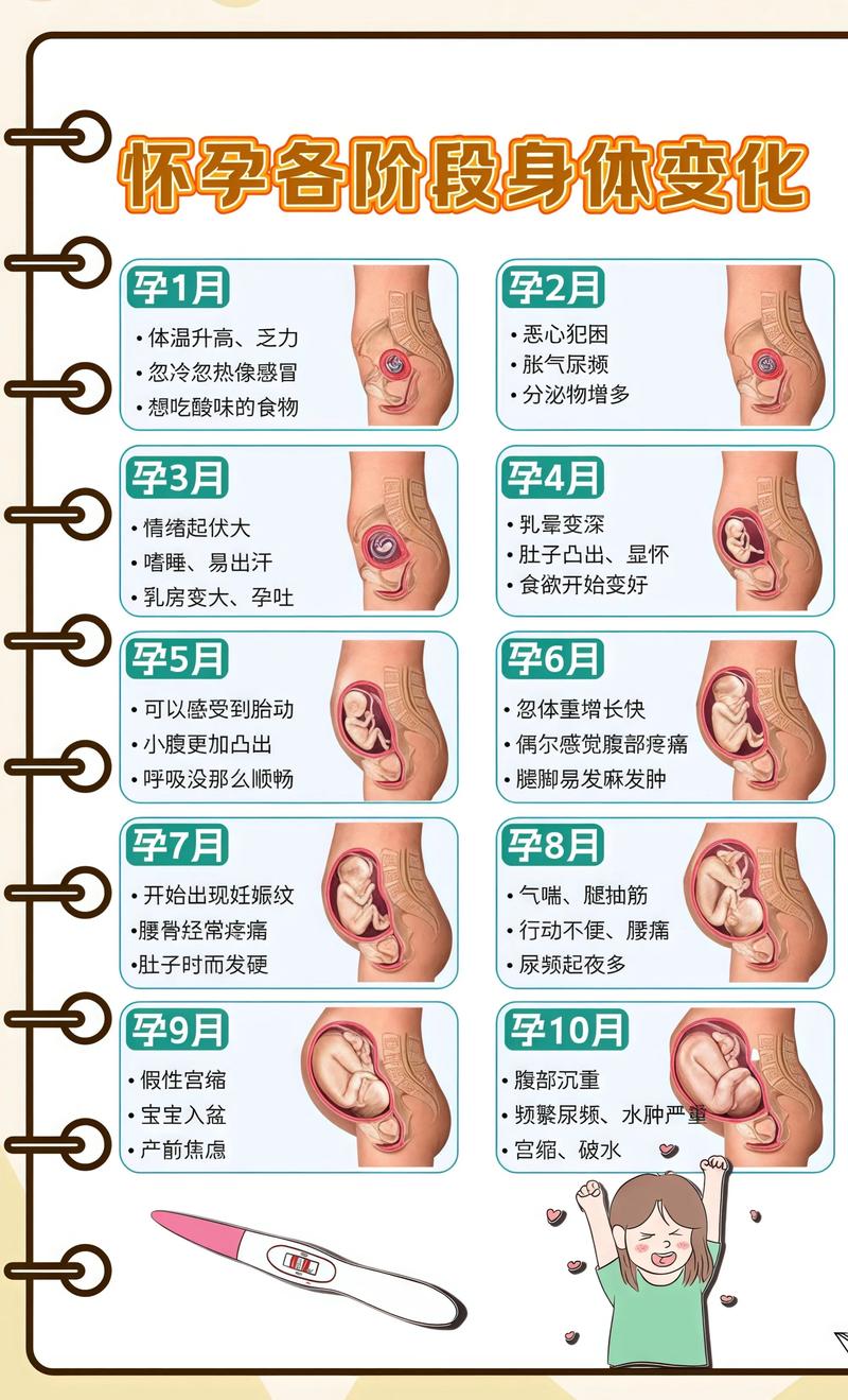 揭秘供卵代孕妈妈怀孕小腹分两节，孕期变化的奥秘淮安代生机构: